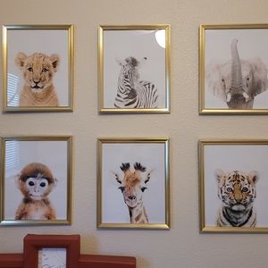 Set of 6 baby animal pictures